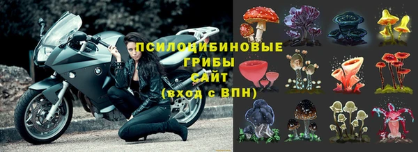 не бодяженный Белокуриха