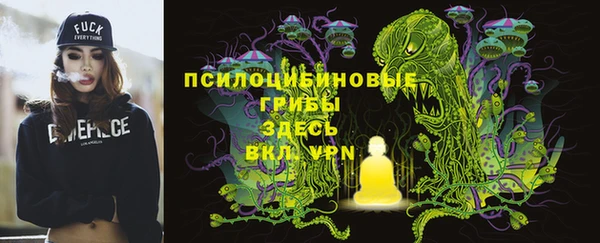 не бодяженный Белокуриха