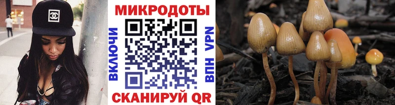 Псилоцибиновые грибы Magic Shrooms  Купить закладки  Белёв 