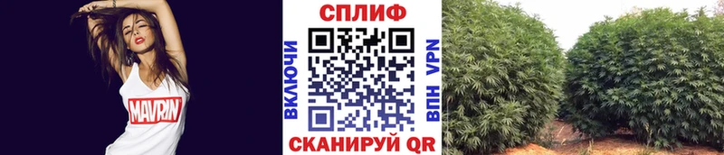 Канабис OG Kush  Купить  Белёв 